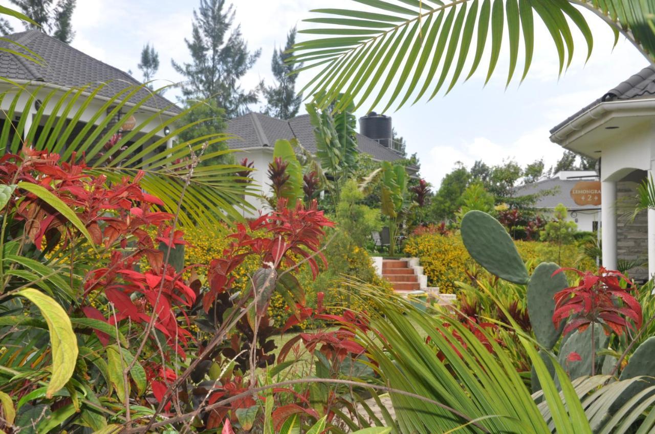 Home Bliss Hotel- Fort Portal Uganda Ngoại thất bức ảnh